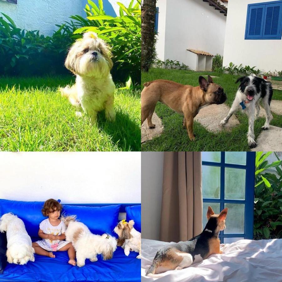 Suites Curta Paraty, Familia E Pets Buitenkant foto